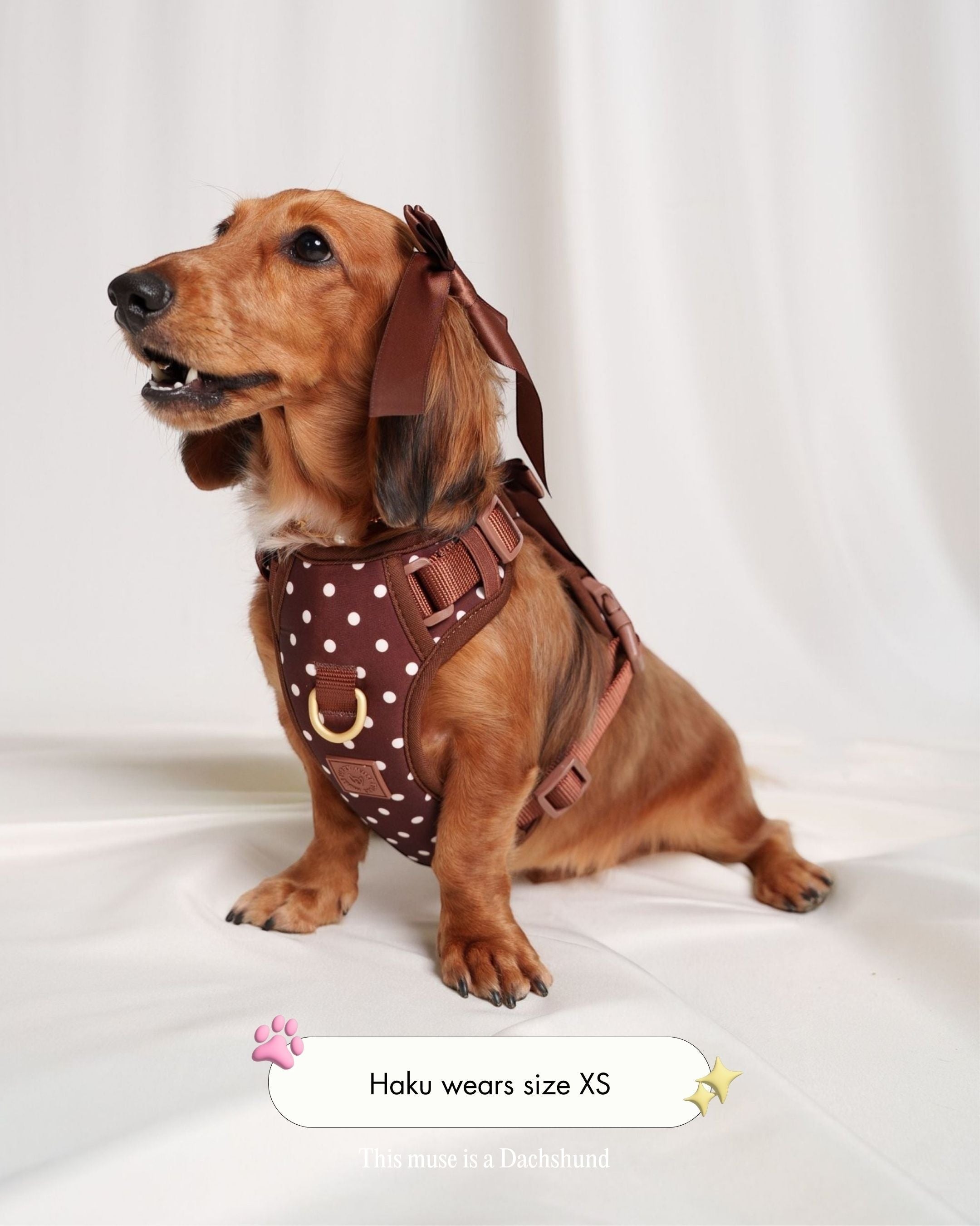 Cocoa_Polka_Harness_Cocoa_Petite_Bow_Clips_ca1a7f35-900e-453c-a940-dcd9d5639cc5.jpg