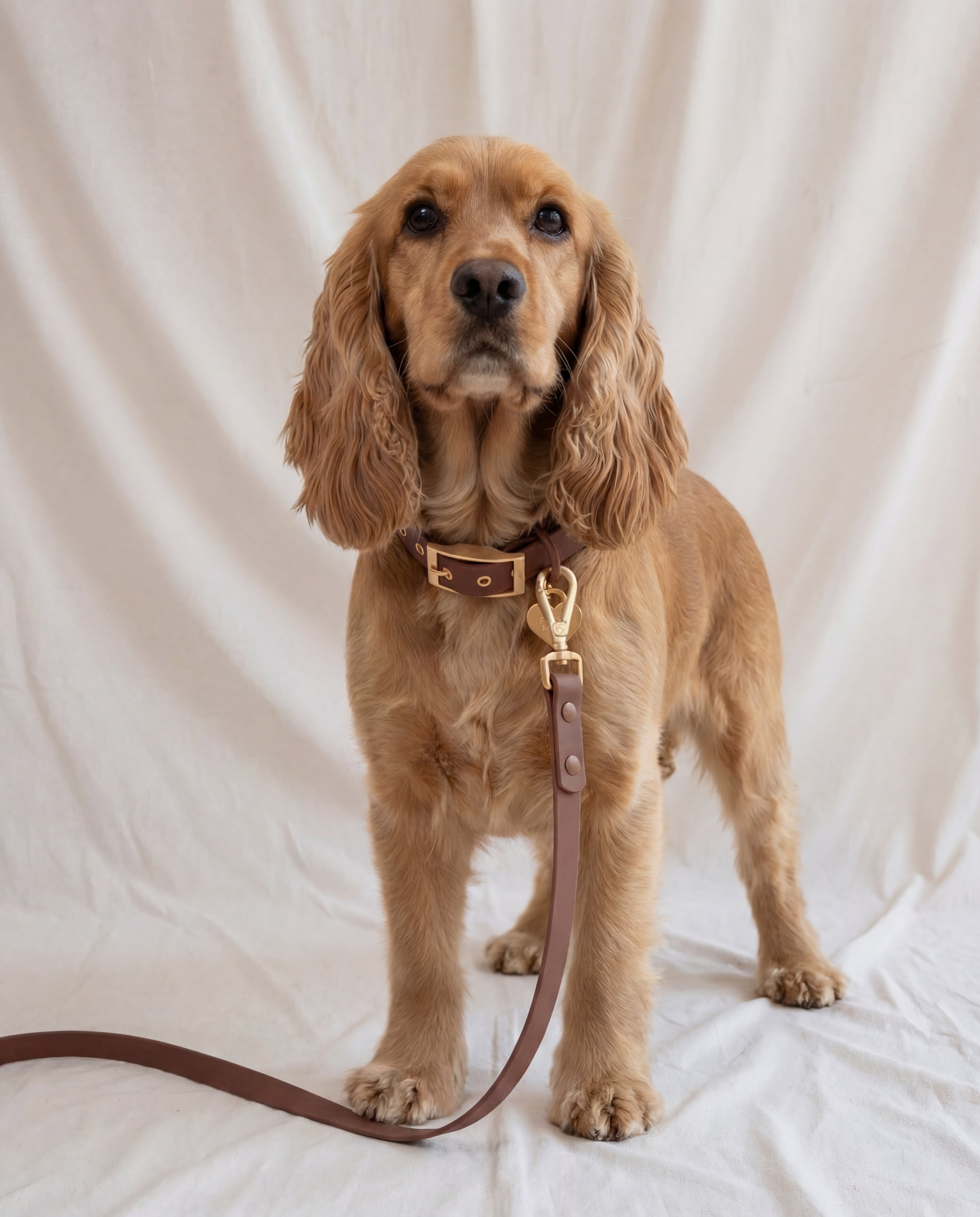 Wander! Collar 2.0 - Cocoa