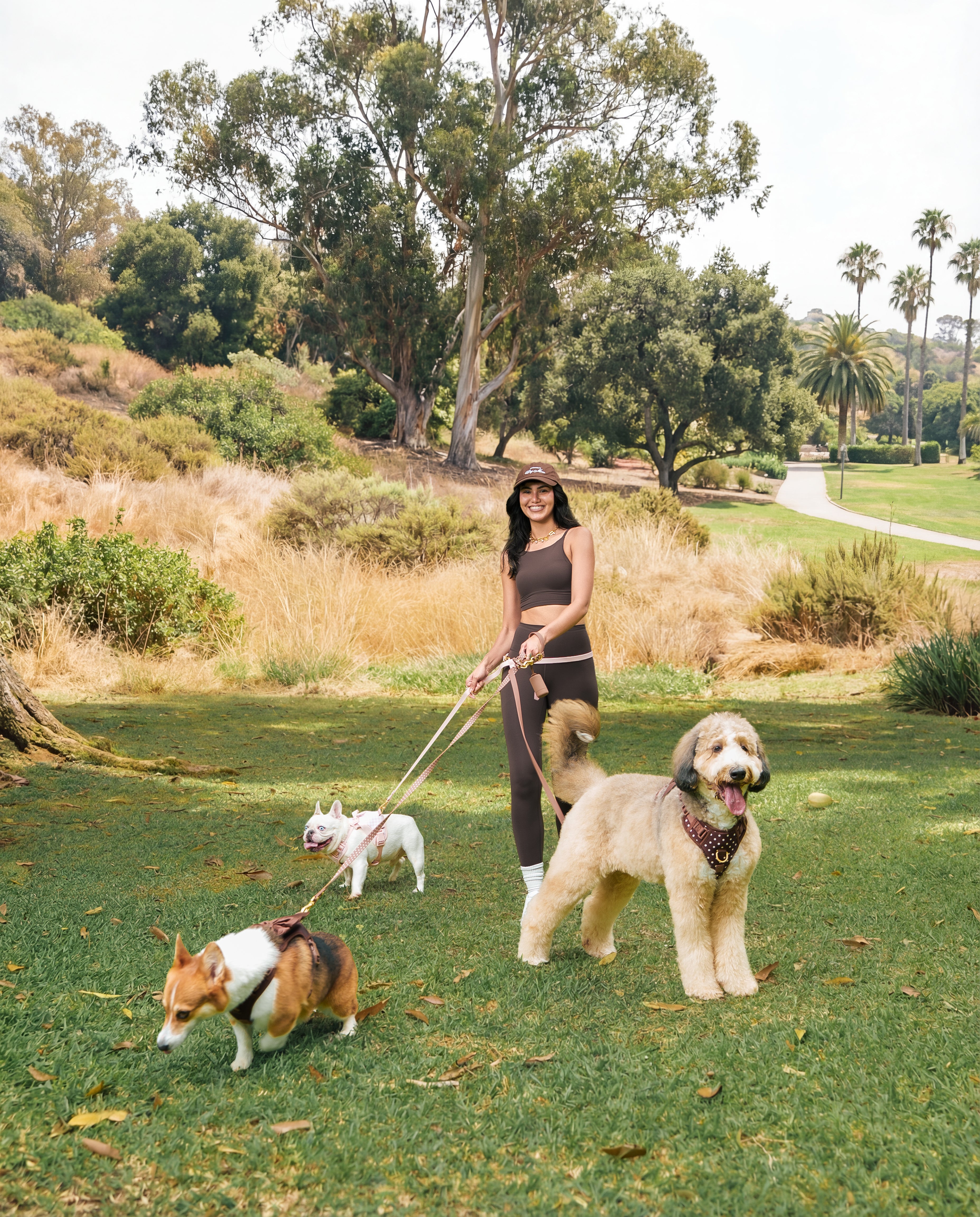 Dogs_together_2.jpg