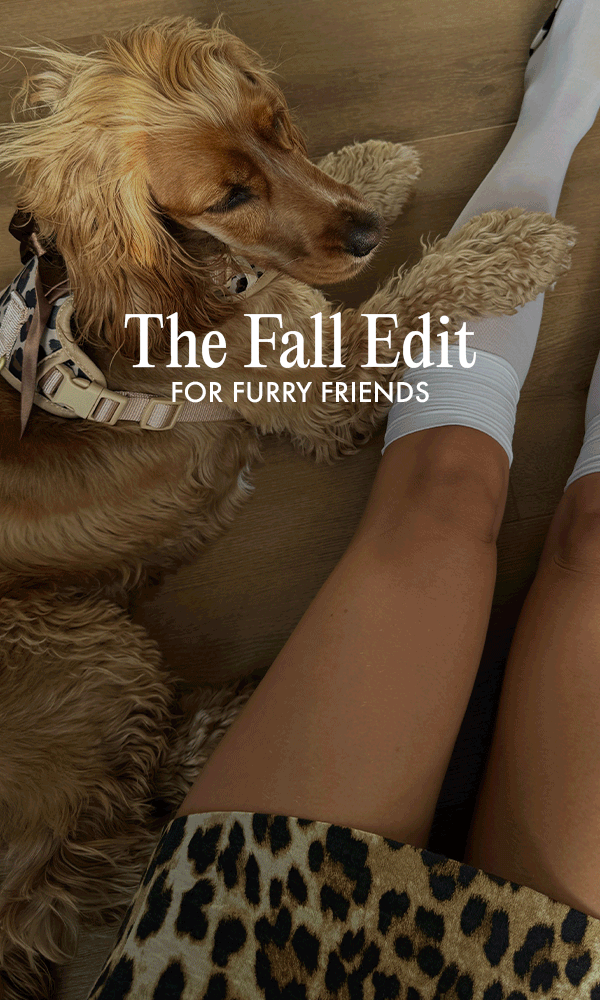 FurryMuse-TheFallEdit-MB.gif