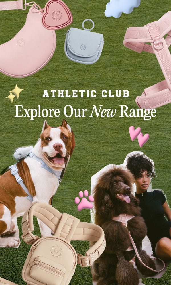 FurryMuse_AthleticClub_Collage-MB.jpg