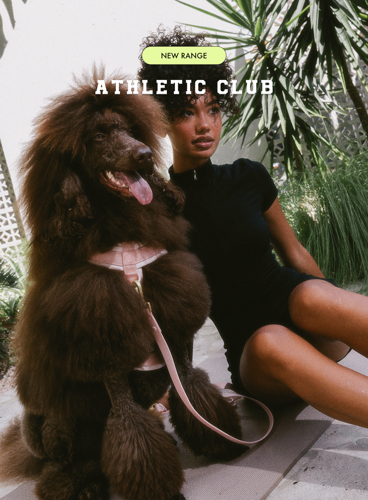 FurryMuse_New_Range_Athletic_Club.gif