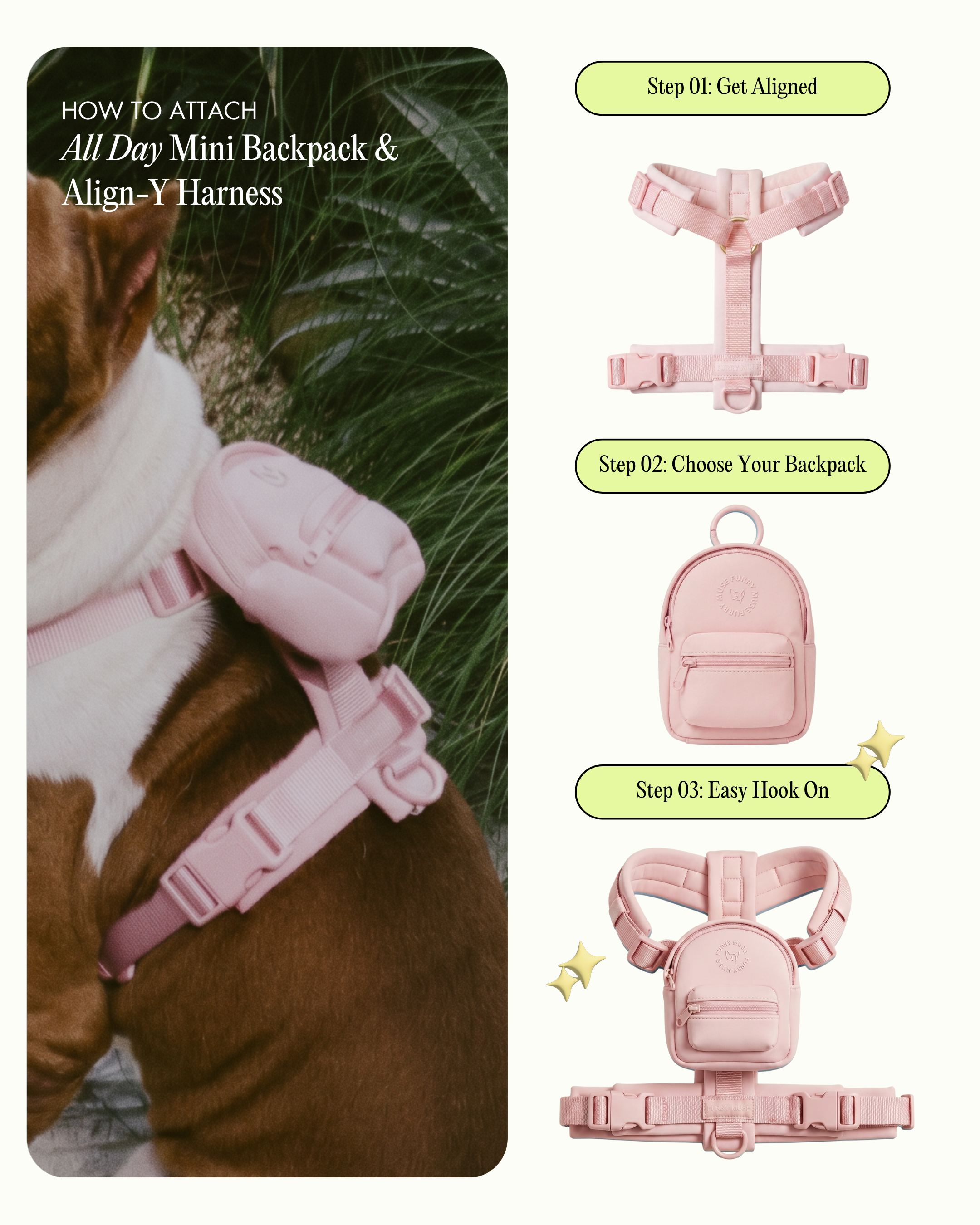 Align Y-Harness