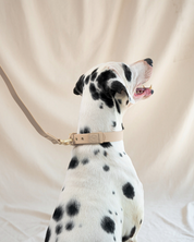 Wander! Waterproof Collar Latte