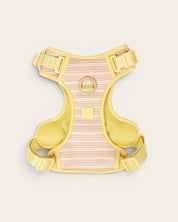 Wander! Bow Harness 2.0 - Lemonade Stripe