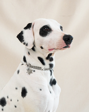 The Lola Necklace