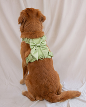 Wander! Bow Harness 2.0 - Matcha