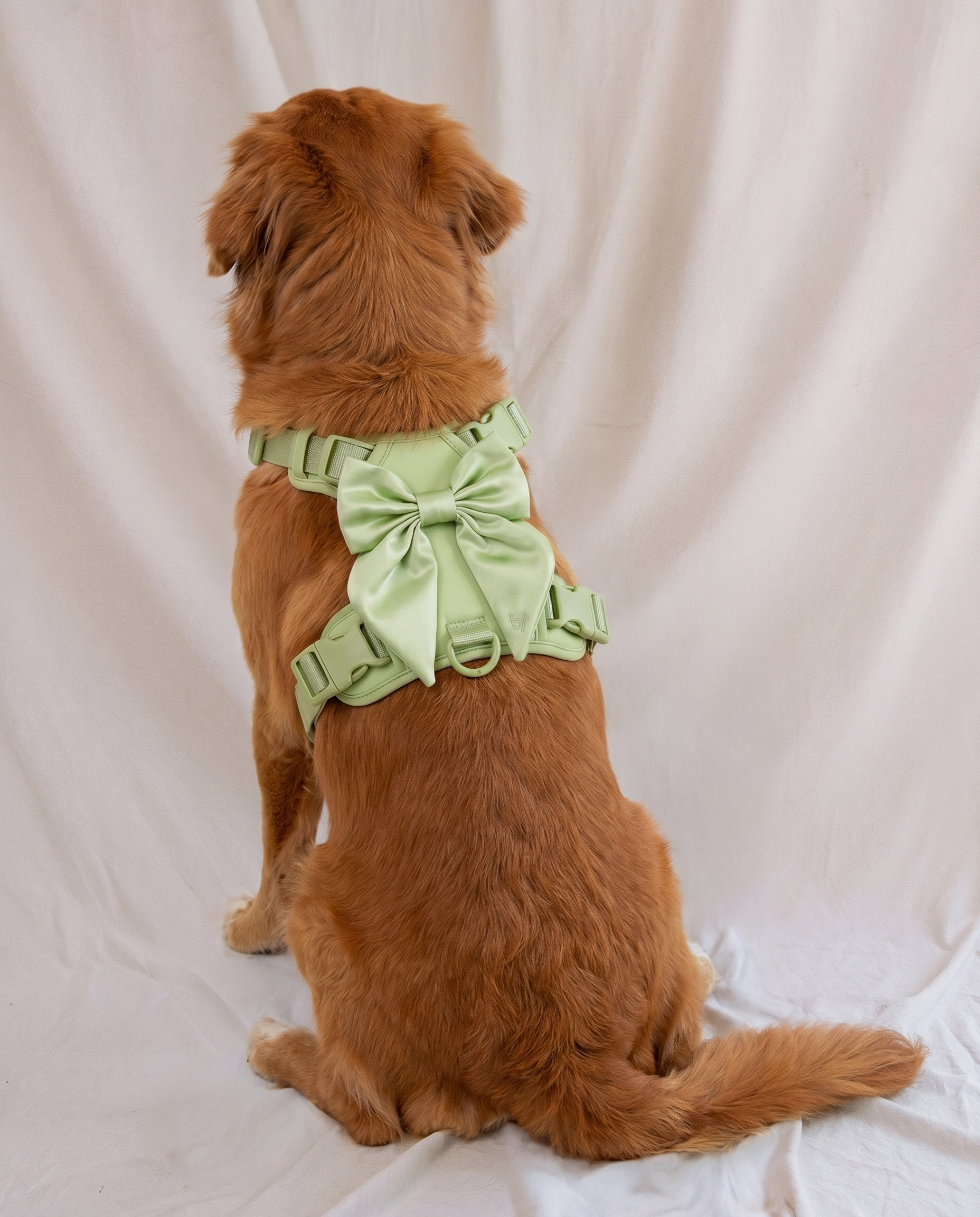 Wander! Bow Harness 2.0 - Matcha