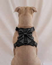 Wander! Bow Harness 2.0 - Midnight