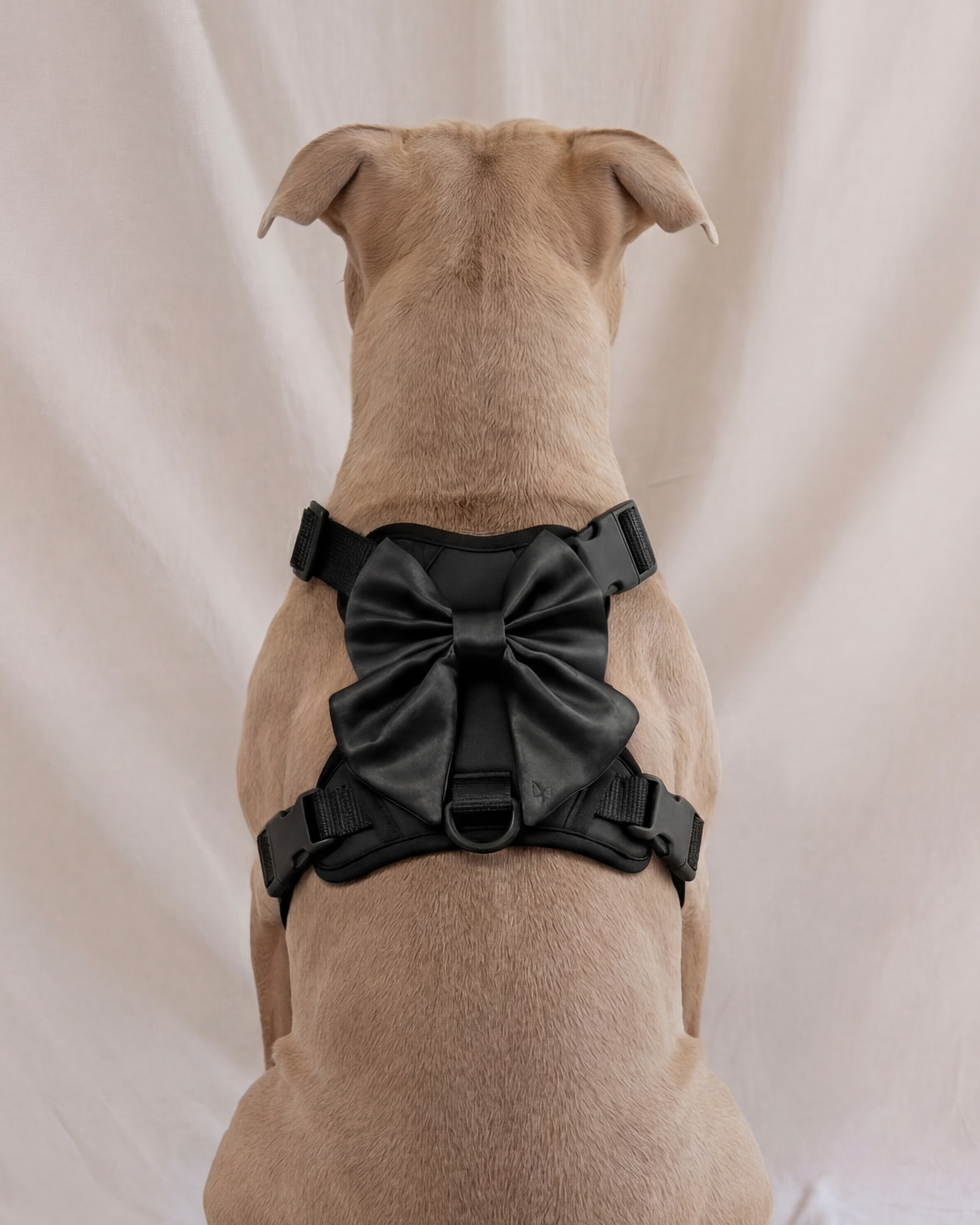 Wander! Bow Harness 2.0 - Midnight