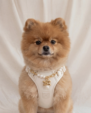 Wander! Bow Harness 2.0 - Pearl