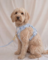 Wander! Bow Harness 2.0 - Seaside Plaid