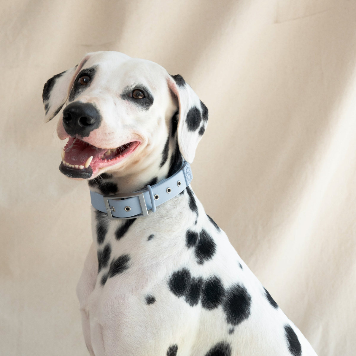 Sky_Collar_4.png