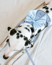 Wander! Bow Harness Kit Sky