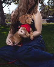 Step and Go Harness - Cherry