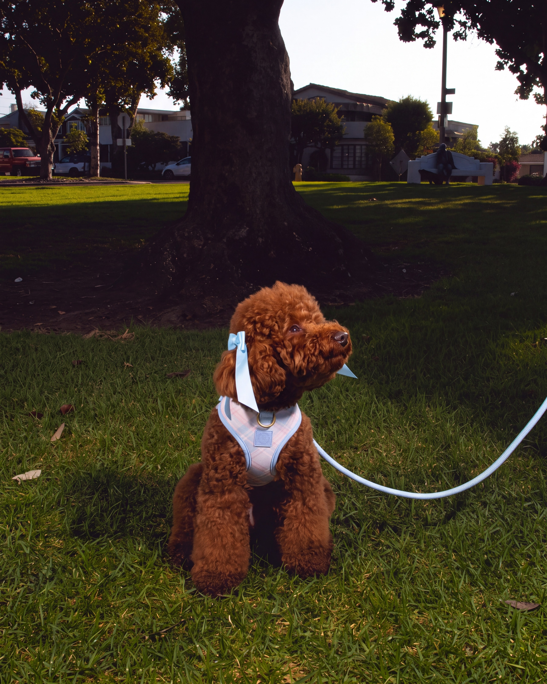 Step and Go Harness - Seaside Plaid