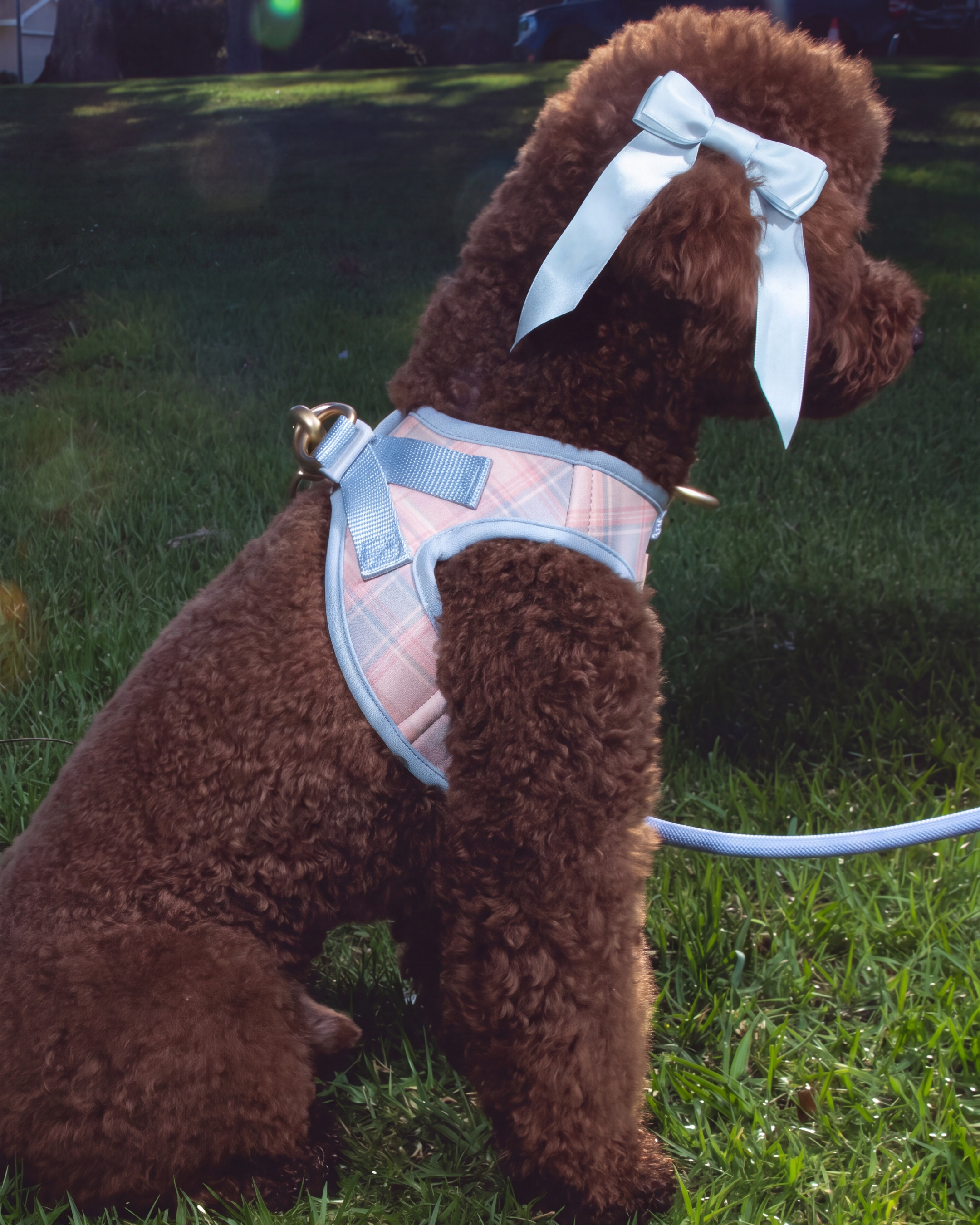 Step and Go Harness - Seaside Plaid