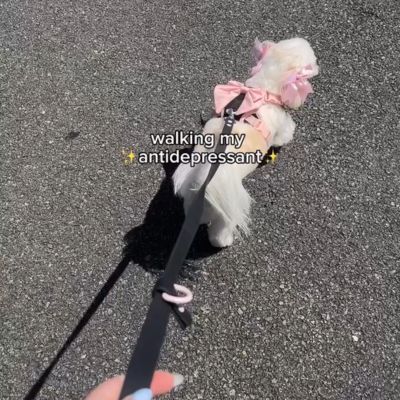 UGC 2