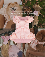 Wander! Bow Harness Kit Blossom - Gold
