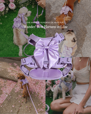 Wander! Bow Harness 2.0 - Lilac