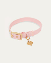 Wander! Collar 2.0 - Blossom