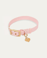 Wander! Collar 2.0 - Blossom