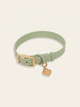 Wander! Collar 2.0 - Matcha