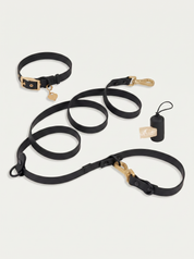 Wander! Collar Kit Midnight - Gold