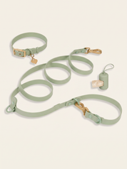 Wander! Collar Kit - Matcha