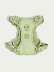 Wander! Bow Harness 2.0 - Matcha