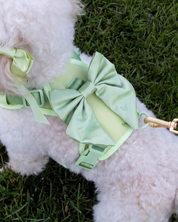 Wander! Bow Harness 2.0 - Matcha