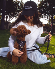 Wander! Bow Harness Kit Midnight Polka Dot