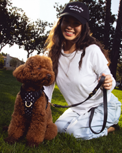 Wander! Bow Harness Kit Midnight Polka Dot
