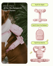 Align Y-Harness - Blossom - FURRY MUSE YHAR-XS-GO-PN
