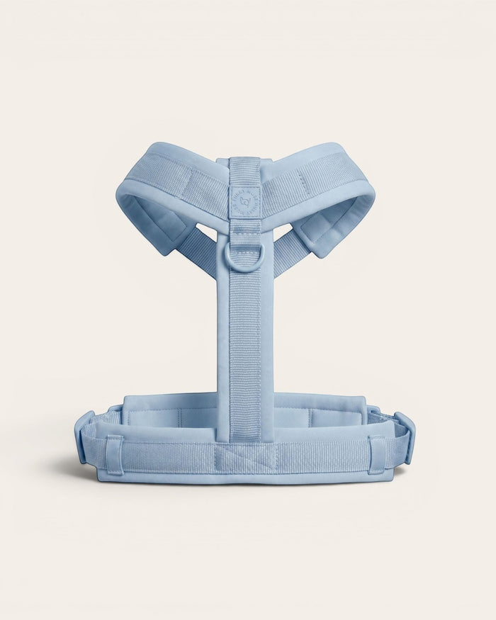 Align Y-Harness - Sky - FURRY MUSE YHAR-XS-GO-BL