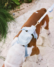 Align Y-Harness - Sky - FURRY MUSE YHAR-XS-GO-BL