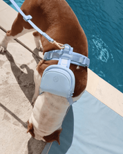 All Day Mini Backpack - Sky - FURRY MUSE HMB-MINI-S-BL