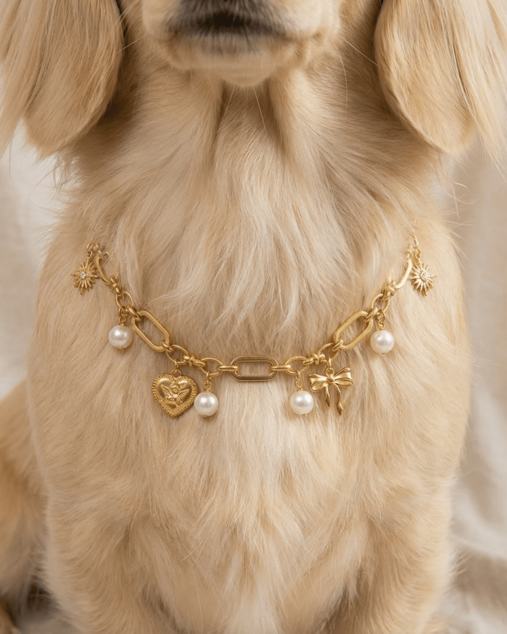 Amelia Necklace - FURRY MUSE FW25-NK-S-GO