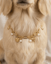 Amelia Necklace - FURRY MUSE FW25-NK-S-GO