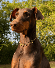 Amelia Necklace - FURRY MUSE FW25-NK-S-GO