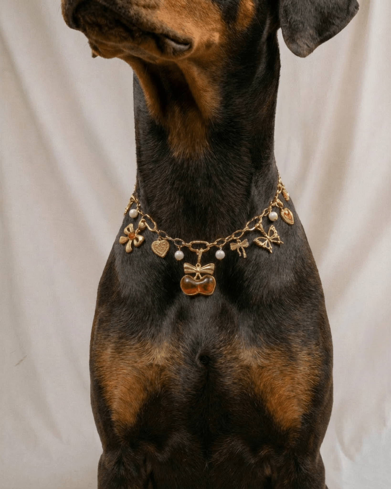 Amelia Necklace - FURRY MUSE FW25-NK-S-GO