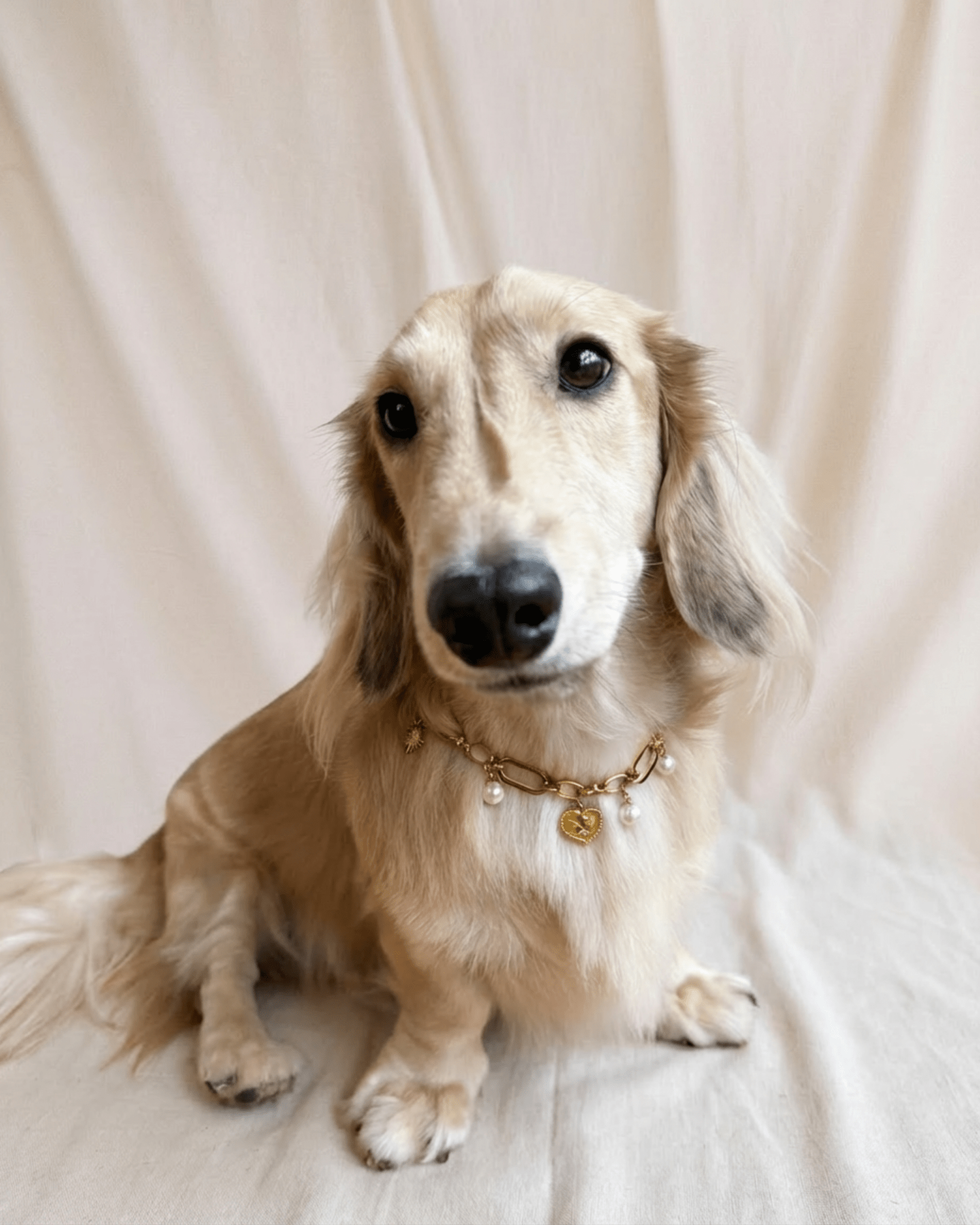 Amelia Necklace - FURRY MUSE FW25-NK-S-GO