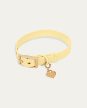 Wander! Collar 2.0 - Buttercream