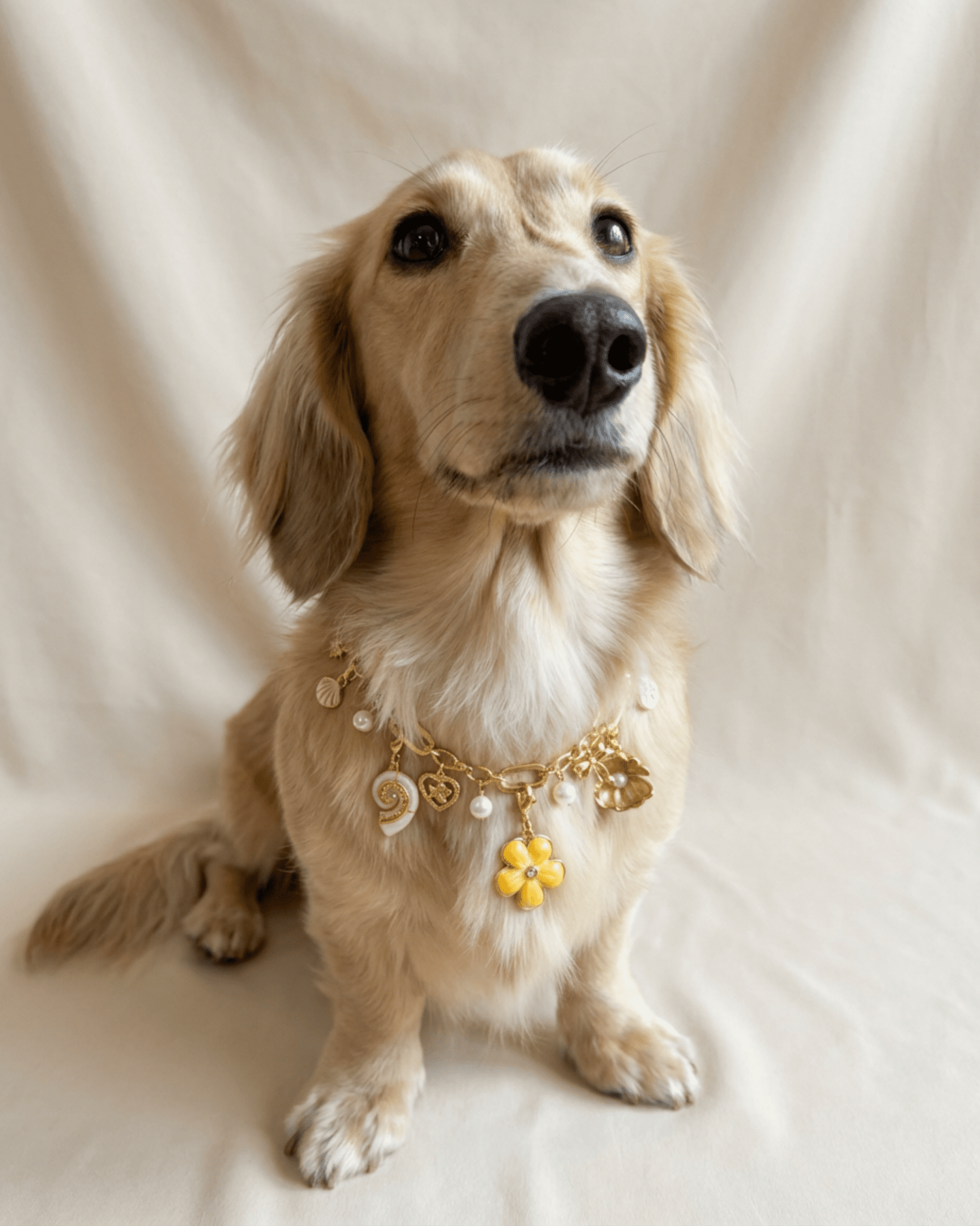 Buttercup Charm Pack - FURRY MUSE FW25-CH-OS-GO