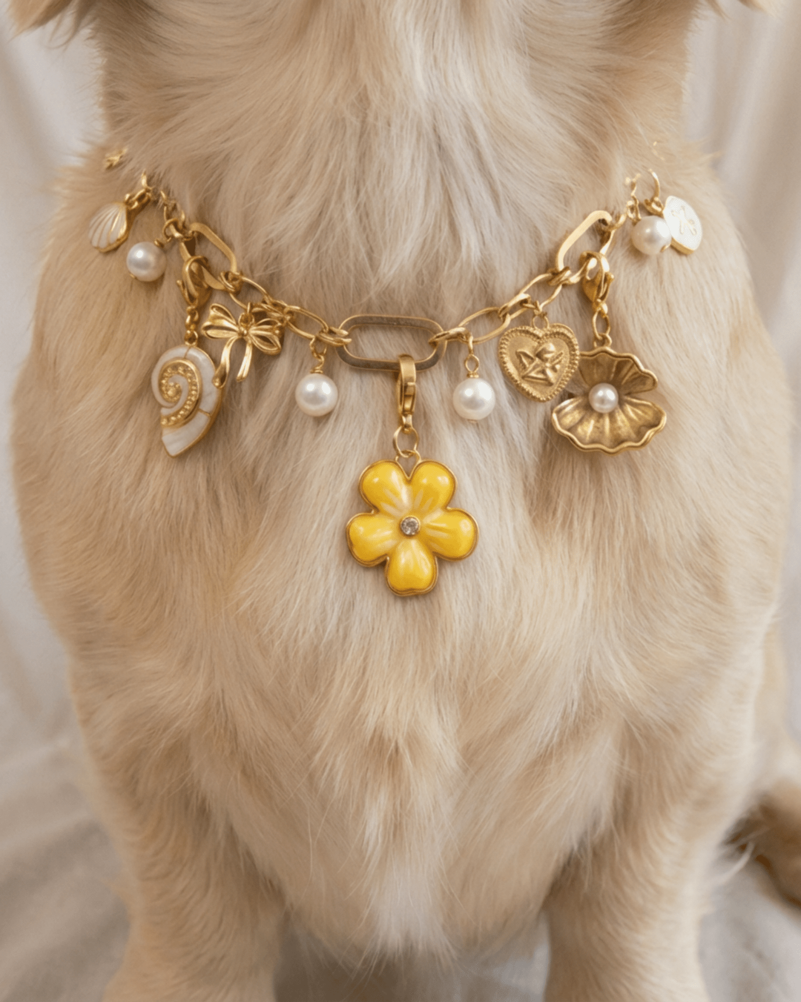 Buttercup Charm Pack - FURRY MUSE FW25-CH-OS-GO