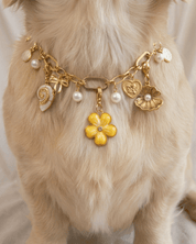 Buttercup Charm Pack - FURRY MUSE FW25-CH-OS-GO