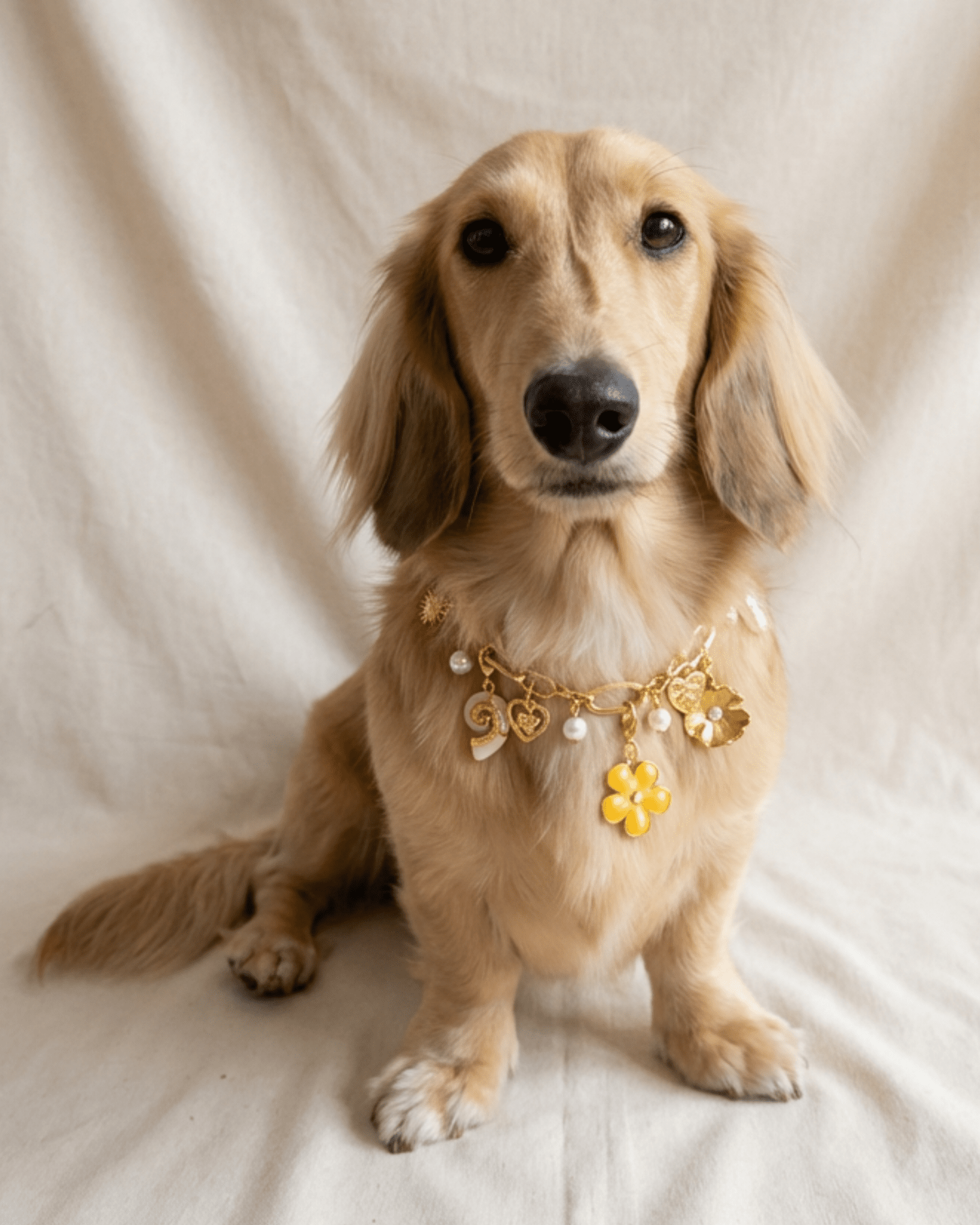 Buttercup Charm Pack - FURRY MUSE FW25-CH-OS-GO