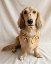 Buttercup Charm Pack - FURRY MUSE FW25-CH-OS-GO