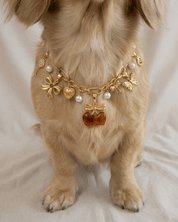 Cherry Charm Pack - FURRY MUSE FW25-CH-OS-RD