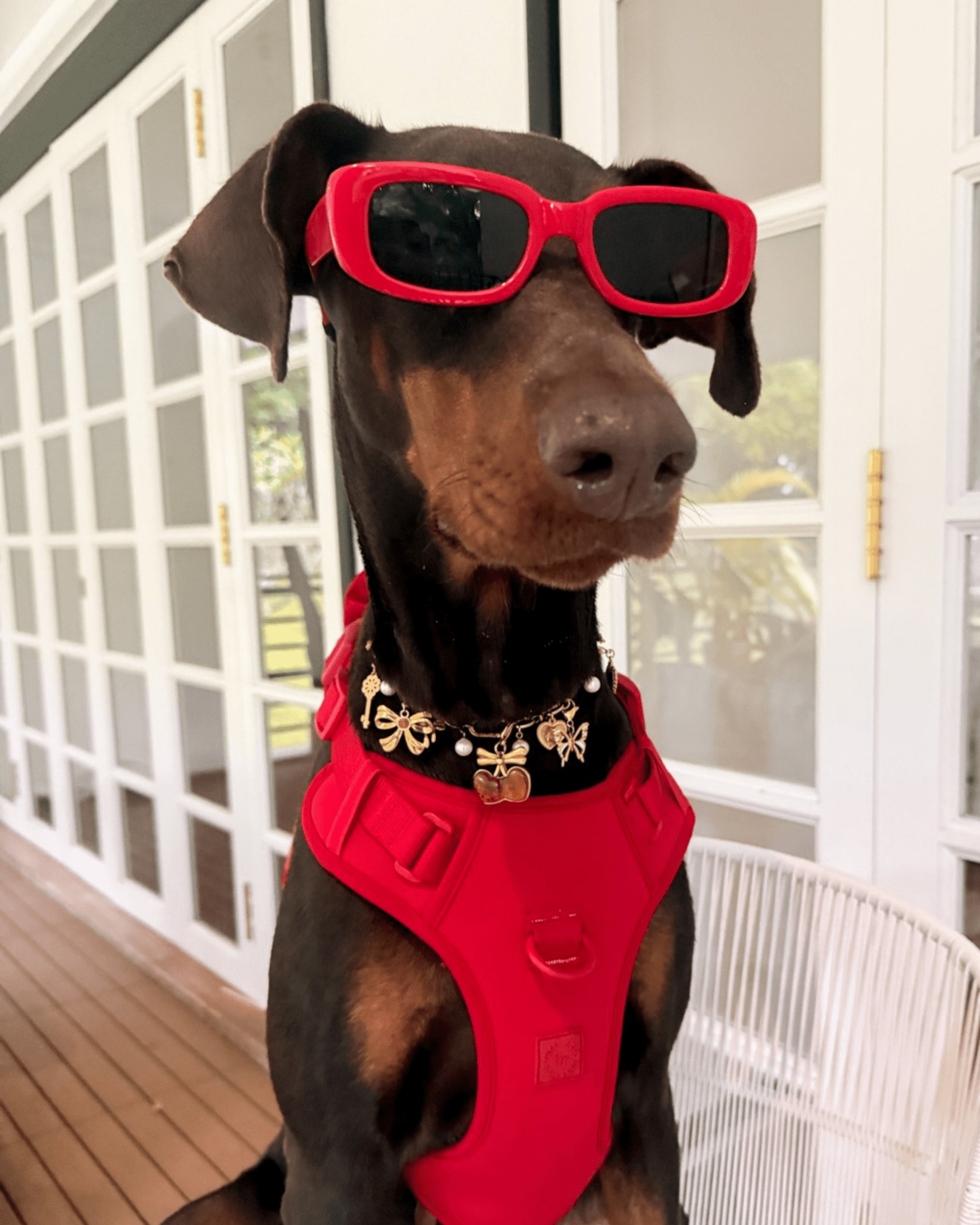 Cherry Charm Pack - FURRY MUSE FW25-CH-OS-RD